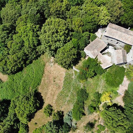Bed and Breakfast Mas Des Nabieres Saint-Martial  Екстер'єр фото