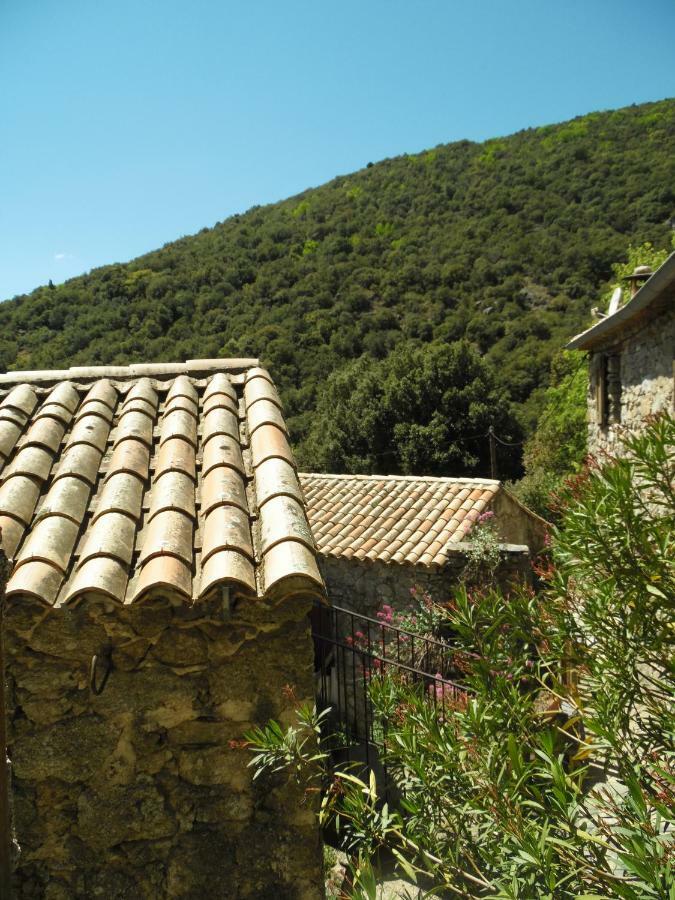 Bed and Breakfast Mas Des Nabieres Saint-Martial  Екстер'єр фото
