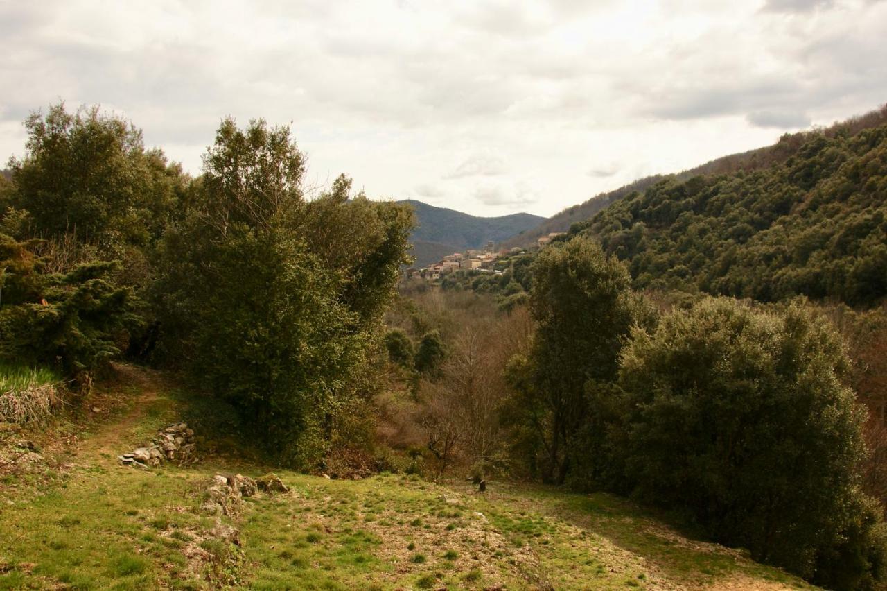Bed and Breakfast Mas Des Nabieres Saint-Martial  Екстер'єр фото